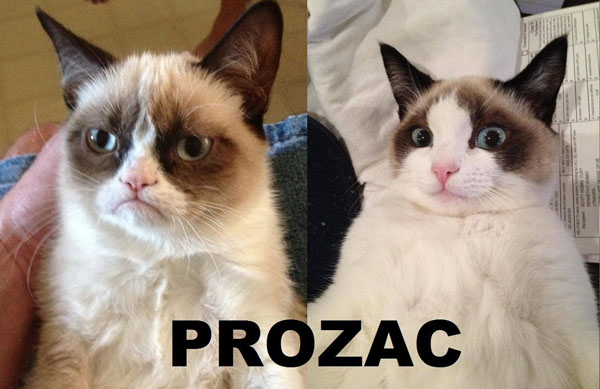 Prozac