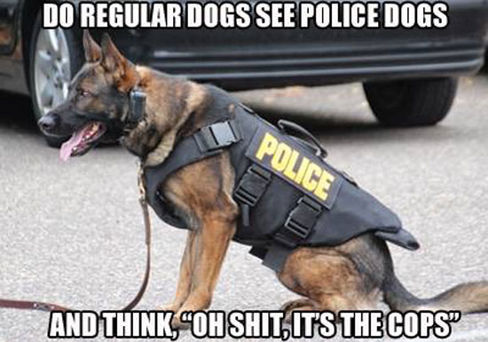 Police Dogs