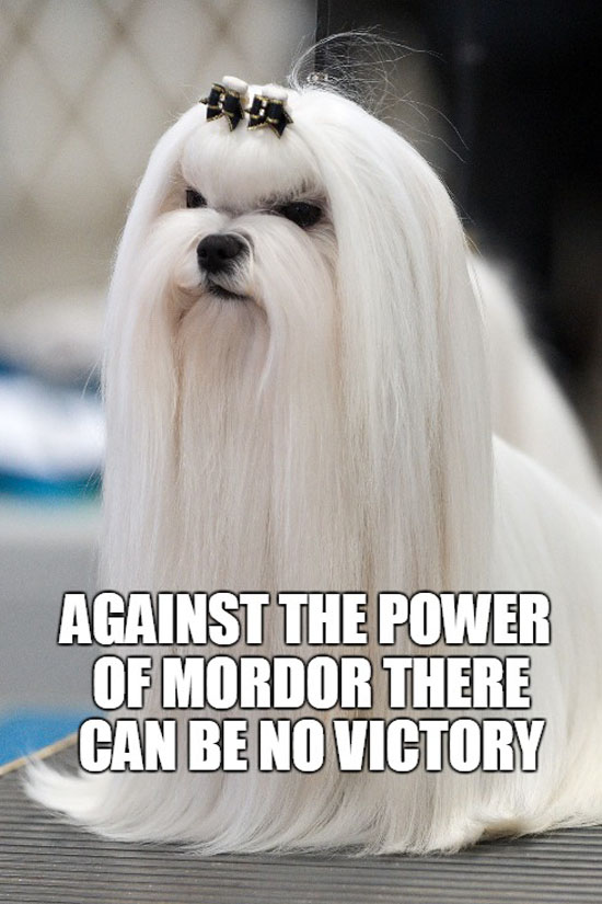The Power Of Mordor