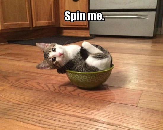 Spin Me