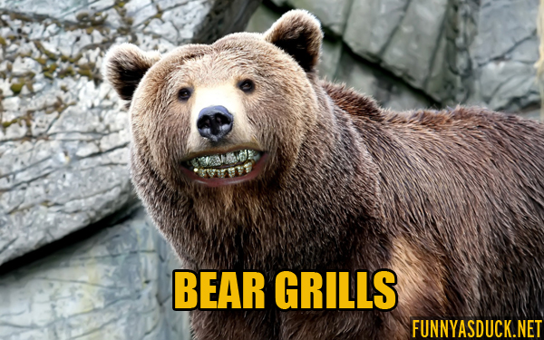 Bear Grills