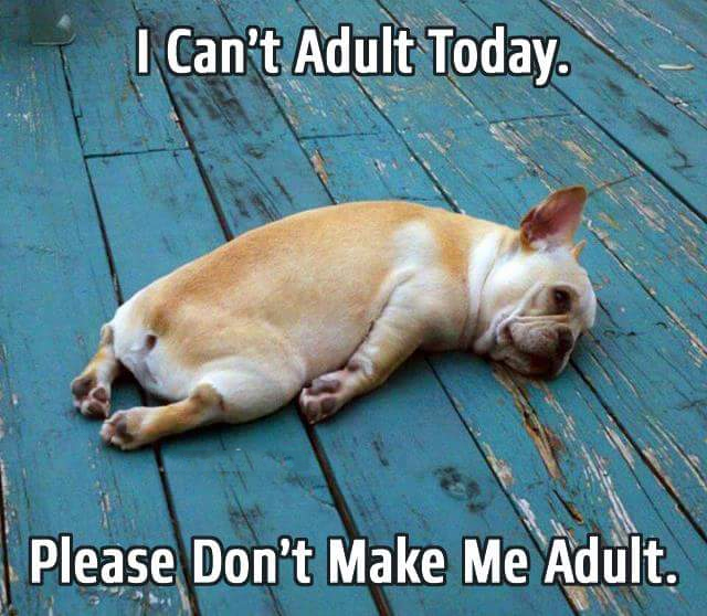 I Can't Adult Today