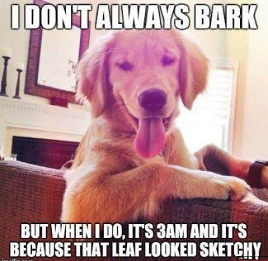 I Don't Always Bark