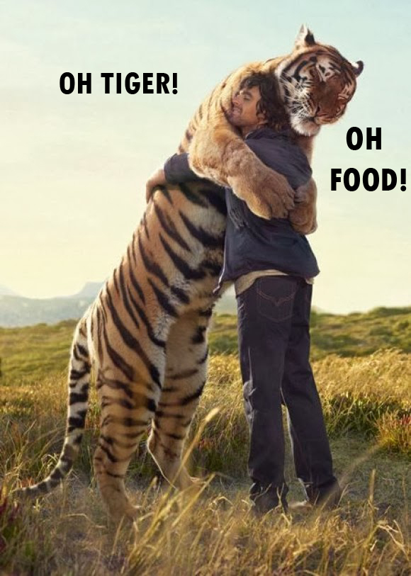 Oh Tiger!