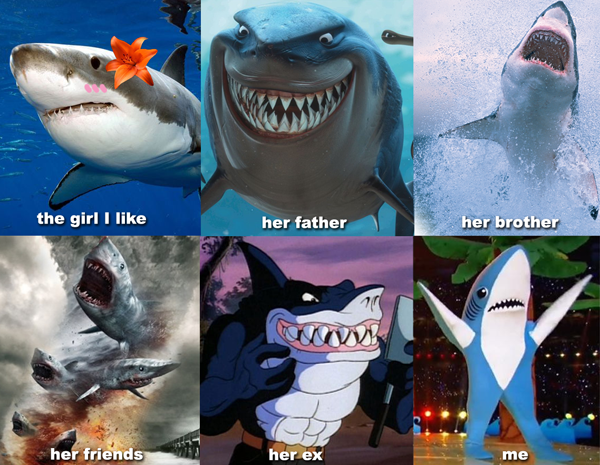 Shark Romance