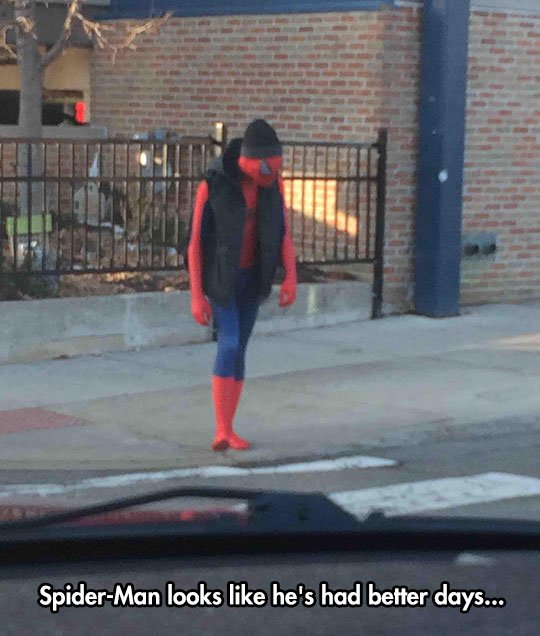 Spiderman Has Seen Better Days