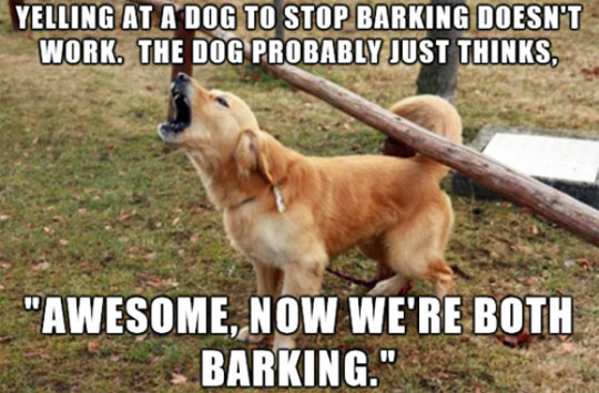 Barking Dog