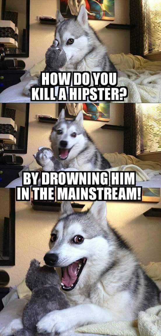 Kill A Hipster