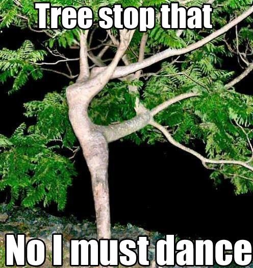 Dancing Tree