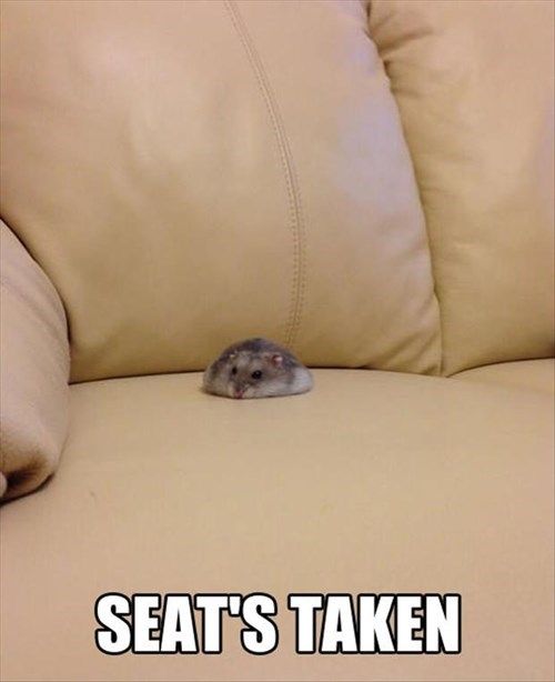Seat's Taken
