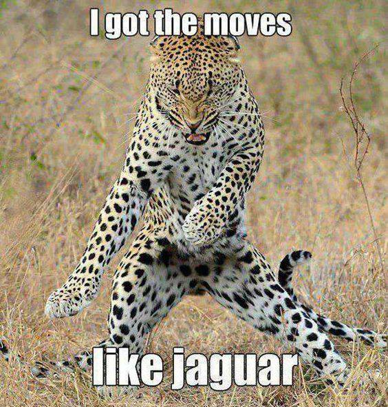 Moves Like Jaguar