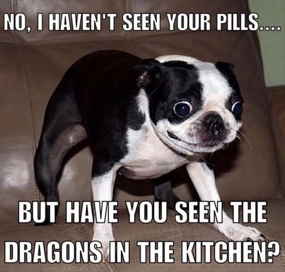 No I Haven't Seen Your Pills.....